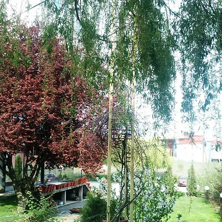 Aldi Cagllavice